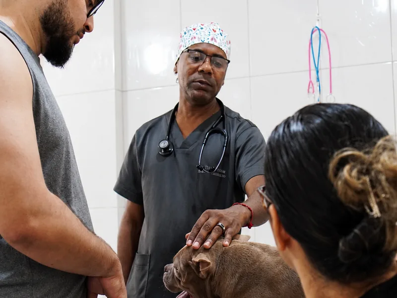 Equipe da Bichanos atendendo o pet com o tutor presente