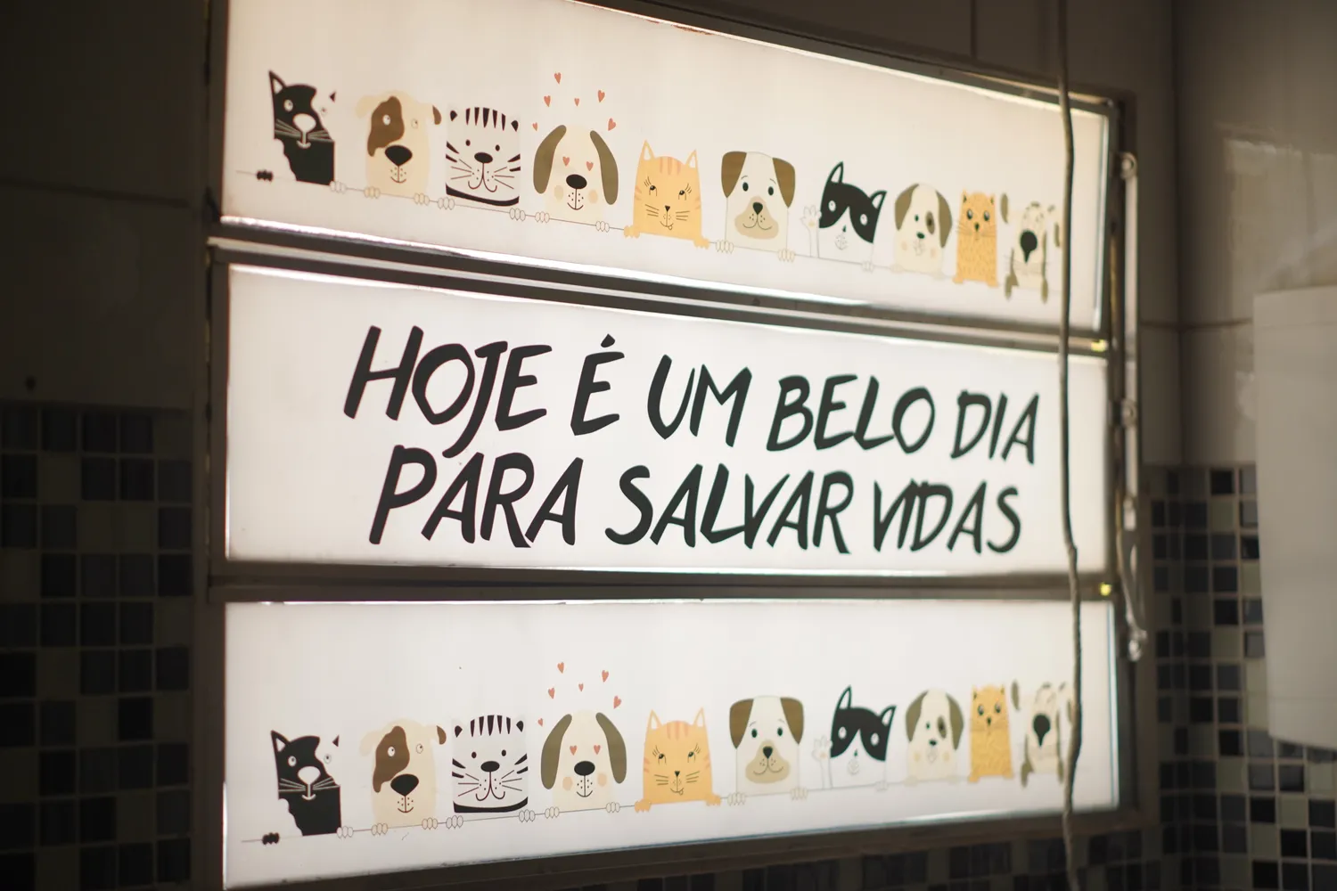 Hoje é um belo dia para salvar vidas